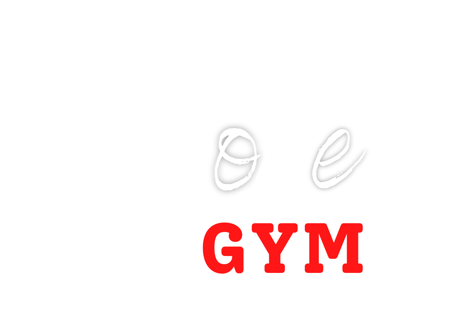 Home Gym 974
